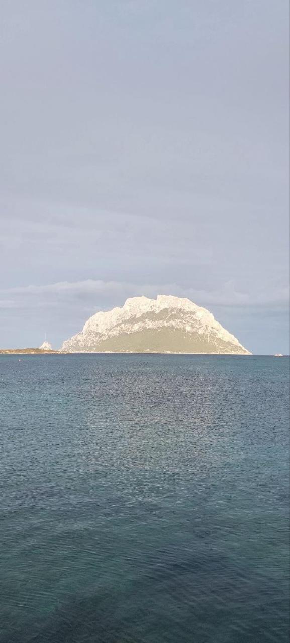 Вілла Porto San Paolo A 50 Mt Dal Mare Номер фото